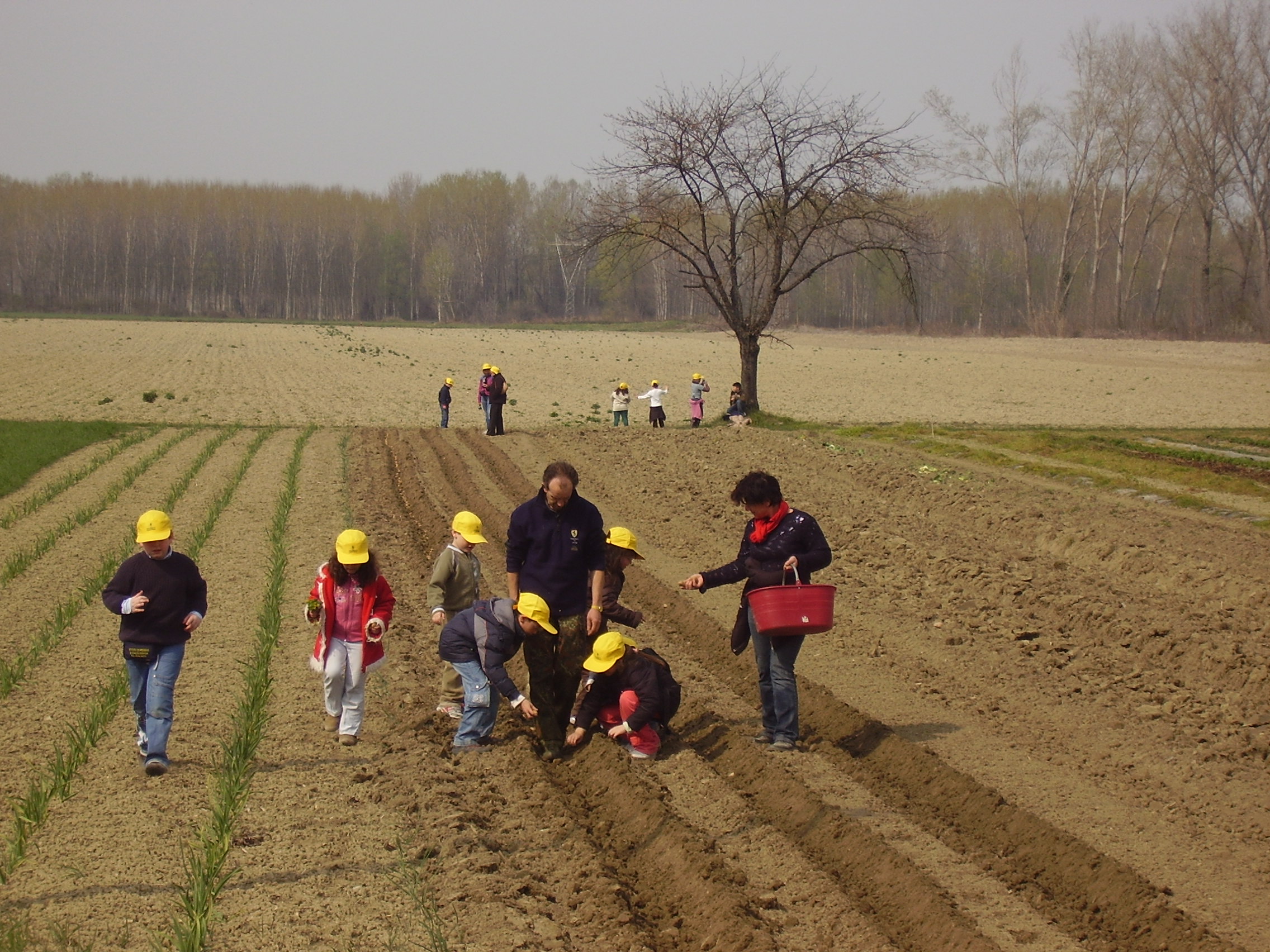 Campagna Amica