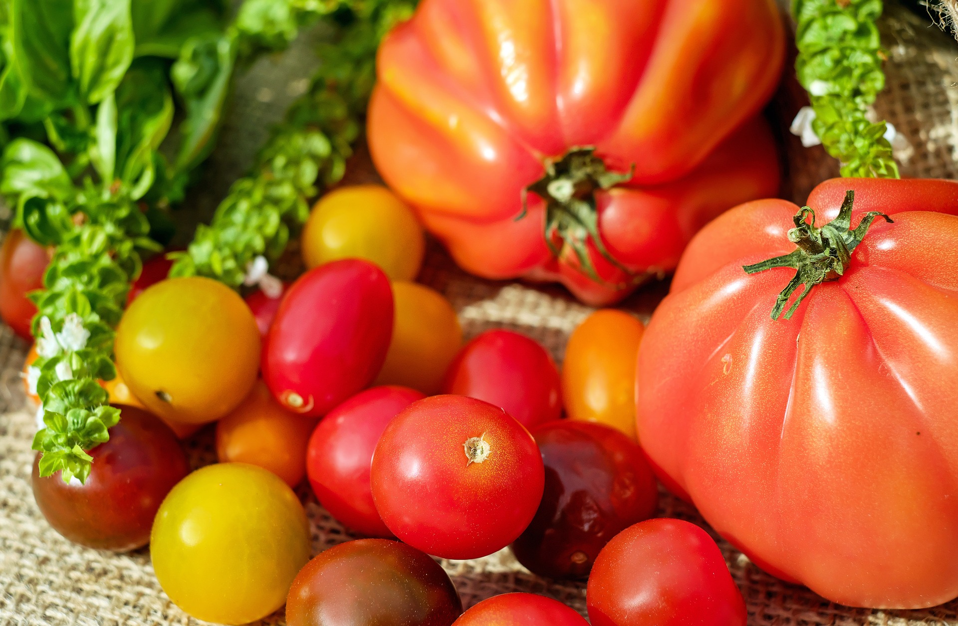 Gruppo Arena Decò - Pomodori senza Nichel: un sogno che diventa realtà per  tutte le persone intolleranti o allergiche a questo particolare elemento!  🍅🍝 In Sicilia e Reggio Calabria la Passata #SferaAgricola