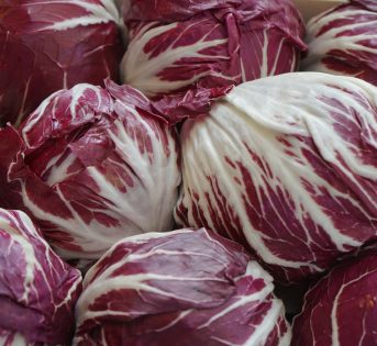 Radicchio, la cicoria più misteriosa