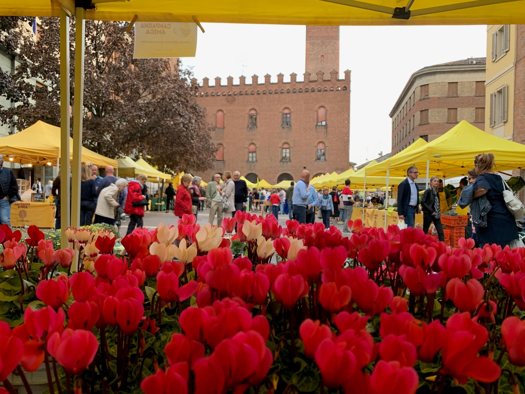 Uova fresche - Orto in Piazza