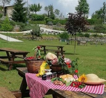 Ferragosto, oltre mezzo milione di italiani scelgono l’agriturismo