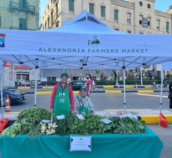 Farmers market, ad Alessandria d’Egitto il primo mercato contadino