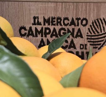 Parma e Palermo, due nuovi mercati di Campagna Amica in centro città